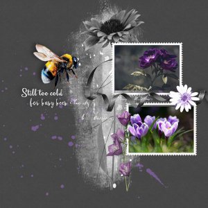 Still too cold for busy bees_Chall#2_Double Scraplift.jpg