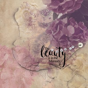 Beauty In The Memory - Tres-Bon 1