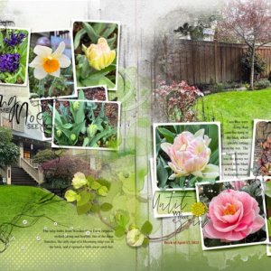 anna-aspnes-digital-scrapbook-spring-value-pack-diane-portland.jpg