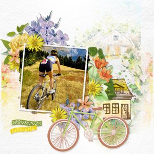Blossoming bike rides