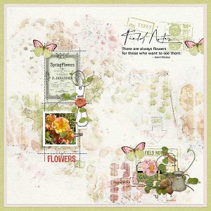 Field Notes & Flowers