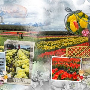 anna-aspnes-digital-scrapbook-multi-foto-template-album-3-diane-tulips2.jpg