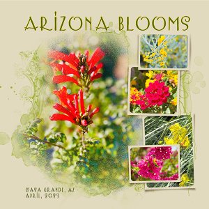 #7: Arizona blooms