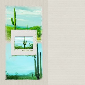 #6: saguaro cactus
