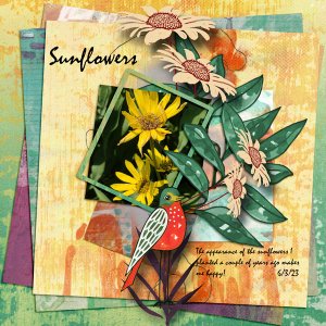 Sunflowers-Template-Challenge-5
