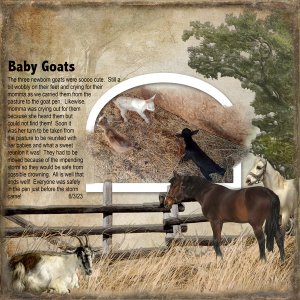 Baby-Goats