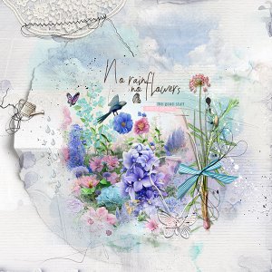 No Rain, No Flowers - Summer Value Pack 2