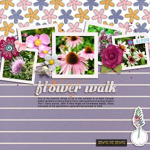 Flowers - Summer 2020