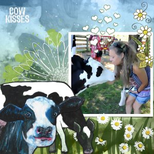 Cow Kisses