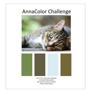 AnnaColor Challenge 07.28.2023 - 08.10.2023