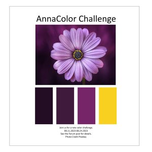 AnnaColor Challenge 08.11.2023 - 08.24.2023