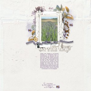 Lavender Fields | Lynn Grieveson Color Play Aug 2023