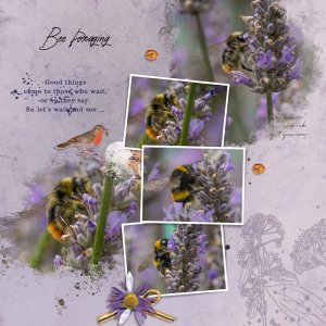 Bee Foraging