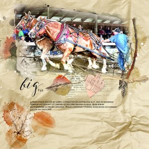Anna-Aspnes-digital-scrapbook-artplay-Collection-Autumn-Cheer-Horses-Joan.jpg
