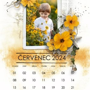 2024 Calendar All in One