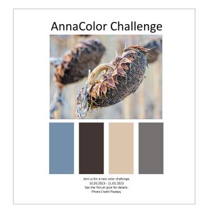 AnnaColor Challenge 10.20.2023 - 11.02.2023