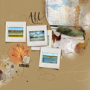Anna-Aspnes-digital-scrapbook-Autumn-Rust-Collection-Autumn-Coast-Joan.jpg