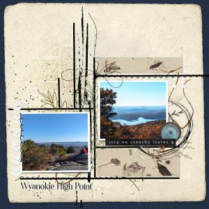 Wyanokie High Point