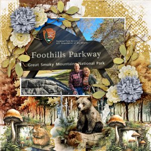 Foothills-Parkway
