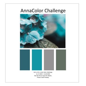 AnnaColor Challenge 11.17.2023 - 11.30.2023