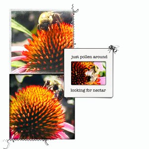 AnnaLift: Pollen Around