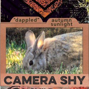 Camera Shy (ATC)