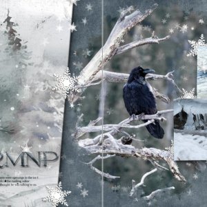 RMNP (Raven)