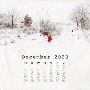 23-12_calendar-instagram-december