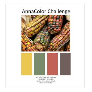 AnnaColor Challenge 12.01.2023 - 12.14.2023
