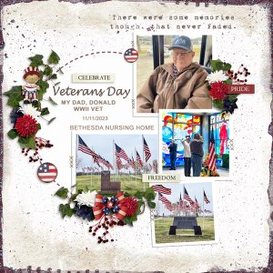 Veteran's Day Nov11-23