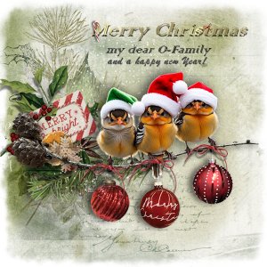 Merry Christmas_O_Family.jpg