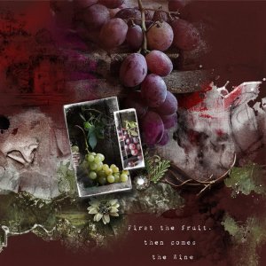 raisins et vins.jpg