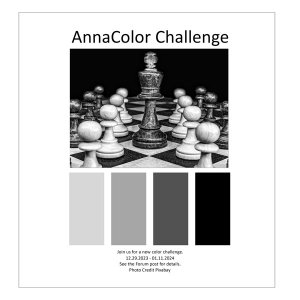 AnnaColor Challenge 12.29.2023 - 01.11.2024