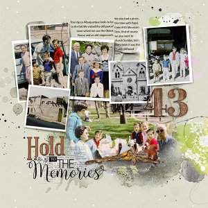 Project 2023 P43 - Hold On to the Memories