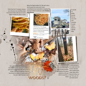 Month In Review Jan '24 B - Chicken of the Woods?