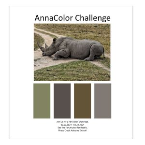 AnnaColor Challenge 02.09.2024 - 02.22.2024