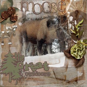AnnaColor-Moose.jpg