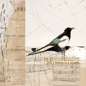 Concerto (Magpie, square version)