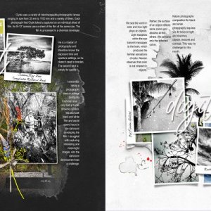 Simple Digital Scrapbook Photo Book Project • February