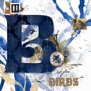 B is for Birds
