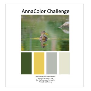 AnnaColor Challenge 03.08.2024 - 03.21.2024