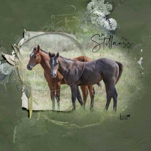 anna-aspnes-digital-scrapbook-artplay-collection-melancholy-jerri-foals.jpg