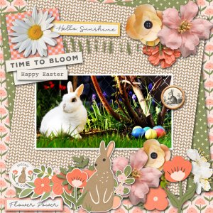 Bunnies and Blooms