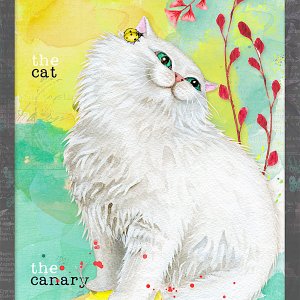 cat-canary