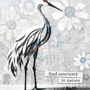 #7 Find Sanctuary in Nature