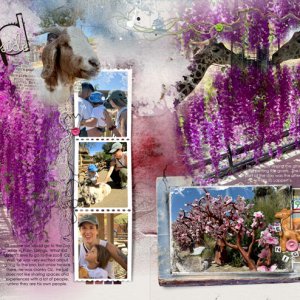 anna-aspnes-digital-scrapbook-artplay-halcyon-collection-anna-color-diane-zoo