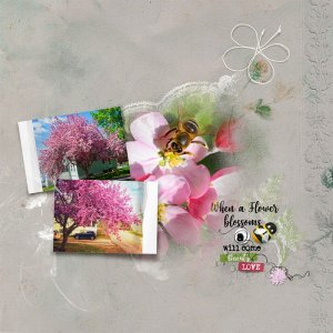 Anna-Aspnes-digital-scrapbook-palette-Bouquet-Blossom-Bee-Joan.jpg