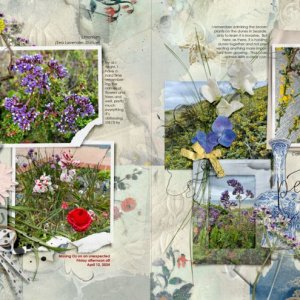 anna-aspnes-digital-scrapbook-artplay-bouquet-collection-artsy-kardz-diane-petals.jpg