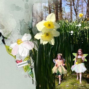 Fairies in the Daffodils
