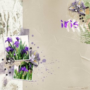 Iris---Template Challenge